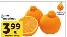 Albertsons Sumo Tangerines offer