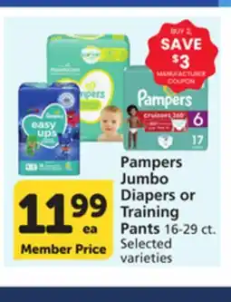Albertsons Pampers Jumbo Diapers or Training Pants offer