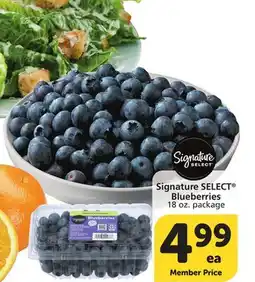 Albertsons Signature SELECT Blueberries offer