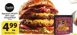 Albertsons Signature SELECT 85% Lean Ground Beef offer