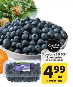 Vons Signature SELECT Blueberries offer