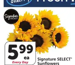 Vons Signature SELECT Sunflowers offer