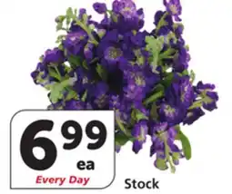 Vons Stock offer
