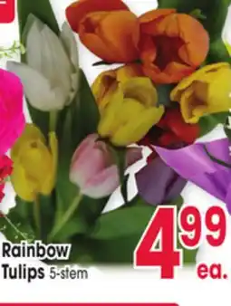 Jewel-Osco Rainbow Tulips offer
