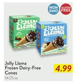 Fresh Thyme Jolly Llama Frozen Dairy-Free Cones offer