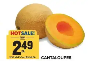 Food Lion Cantaloupes offer