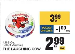 Food Lion THE LAUGHING COW offer
