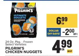 Food Lion Pilgrim's Chicken Nuggets offer