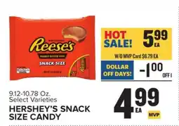 Food Lion Hershey's Snack Size Candy offer