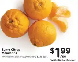 Kroger Sumo Citrus Mandarins offer