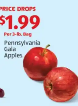 Aldi Pennsylvania Gala Apples offer