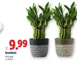 Lidl bamboo offer