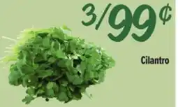 El Super Fresh Cilantro offer