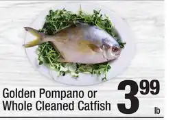 Super King Markets Golden Pompano or Whole Cleaned Catfi sh offer