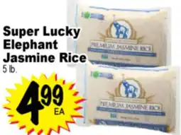 Superior Grocers Super Lucky Elephant Jasmine Rice offer
