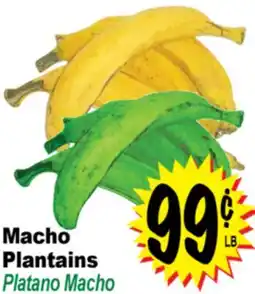 Superior Grocers Macho Plantains offer