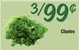 El Super Cilantro offer