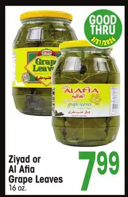 Jewel-Osco Ziyad or Al Afia Grape Leaves offer