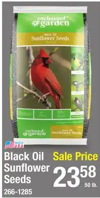 Menards Black Oil Sunflower Seeds offer