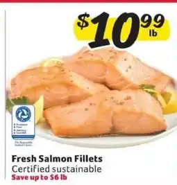 Winn Dixie Fresh Salmon Fillets offer