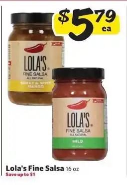 Winn Dixie Lola's Fine Salsa offer