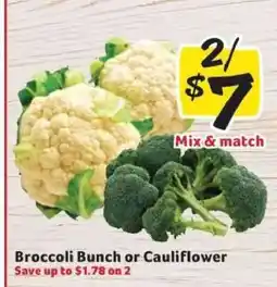 Winn Dixie Broccoli Bunch or Cauliflower offer