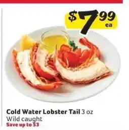 Winn Dixie Cold Water Lobster Tail offer