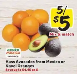 Winn Dixie Hass Avocados from Mexico or Navel Oranges offer