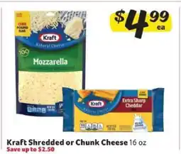 Winn Dixie Kraft Shredded or Chunk Cheese offer
