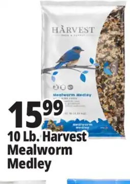 Ocean State Job Lot Harvest Seed & Supply Mealworm Medley Wild Bird Food 10 lb offer