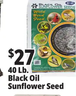 Ocean State Job Lot Black Oil Sunflower Seeds 40 lbs offer