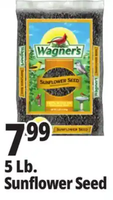 Ocean State Job Lot Wagner's Black Oil Sunflower Seed Wild Bird Food 5 lbs offer