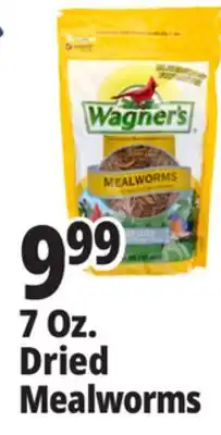 Ocean State Job Lot Wagner's Bird Meal Worms 7oz offer