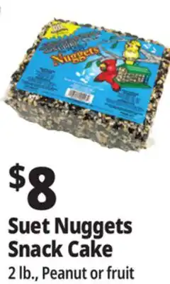 Ocean State Job Lot C&S EZ Fill Suet Cake or Snak Feeder offer