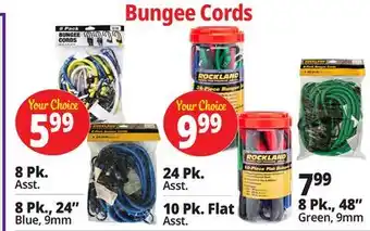 Ocean State Job Lot Bungee Cords offer