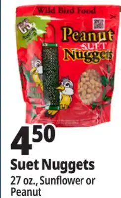 Ocean State Job Lot C&S Sunflower Suet Nuggets 27 oz offer