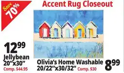 Ocean State Job Lot Olivia's Home Washable 20/22x30/32 offer