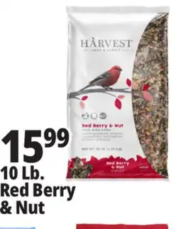Ocean State Job Lot Harvest Seed & Supply Red Berry & Nut Wild Bird Food 10 lb offer
