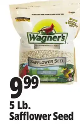 Ocean State Job Lot Wagner's Safflower Seed Deluxe Wild Bird Food offer