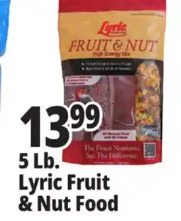 Ocean State Job Lot Lyric Fruit and Nut High Energy Wild Bird Food Mix 5 lbs offer