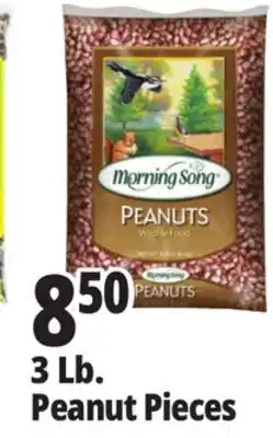 Ocean State Job Lot Morning Song Wildlife Food Peanuts 3 lbs offer