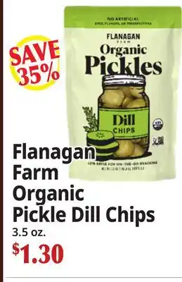 Ocean State Job Lot Flanagan Farm Organic Pickle Dill Chips offer