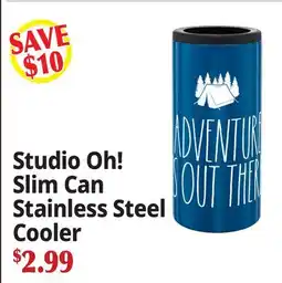 Ocean State Job Lot Studio Oh! Slim Can Stainless Steel Cooler offer