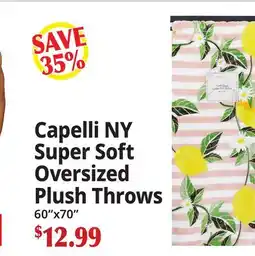 Ocean State Job Lot Capelli NY Super Soft Oversized Plush Throws offer