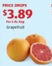 Aldi Grapefruit offer