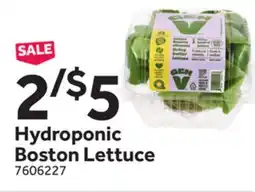 Stop&Shop Hydroponic Boston Lettuce offer