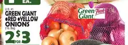 Bravo Supermarkets GREEN GIANT RED, YELLOW ONIONS offer