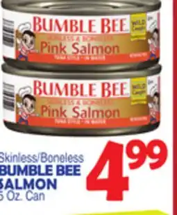 Bravo Supermarkets BUMBLE BEE SALMON offer