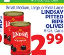 Bravo Supermarkets LINDSAY PITTED RIPE OLIVES offer