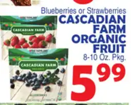 Bravo Supermarkets CASCADIAN FARM ORGANIC offer